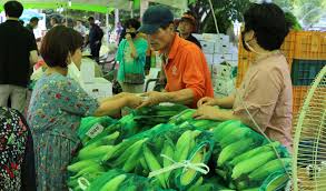 제14회 향수옥천 옥수수 감자 축제 기본일정과 프로그램 정리