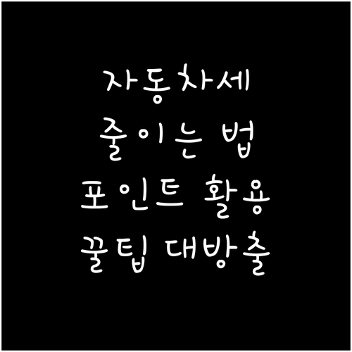 자동차세 부담 줄이기: 신용카드 포인..