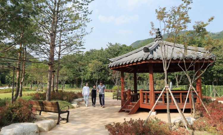 동해 무릉건강숲