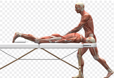 면역치료와 수기요법