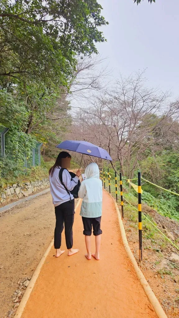 엄광산 맨발걷기