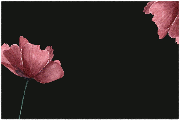 인도항공기사고