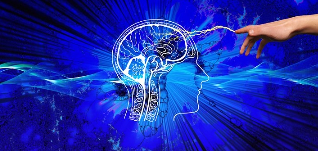 포스파티딜 세린 효능