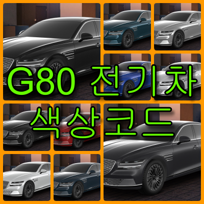 제네시스 G80 전기차
