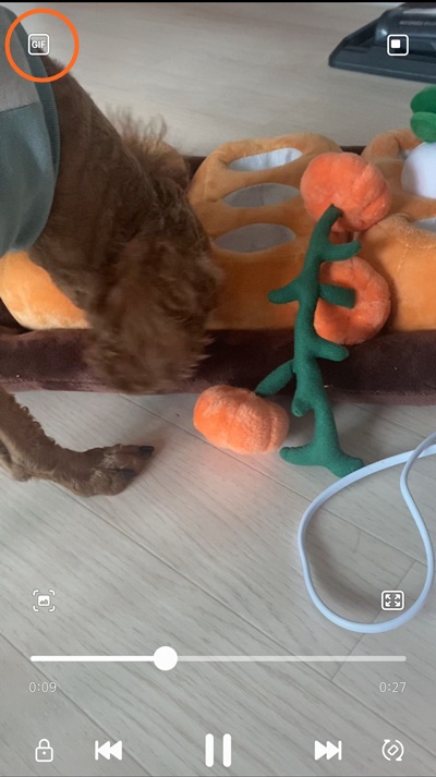 갤럭시gif