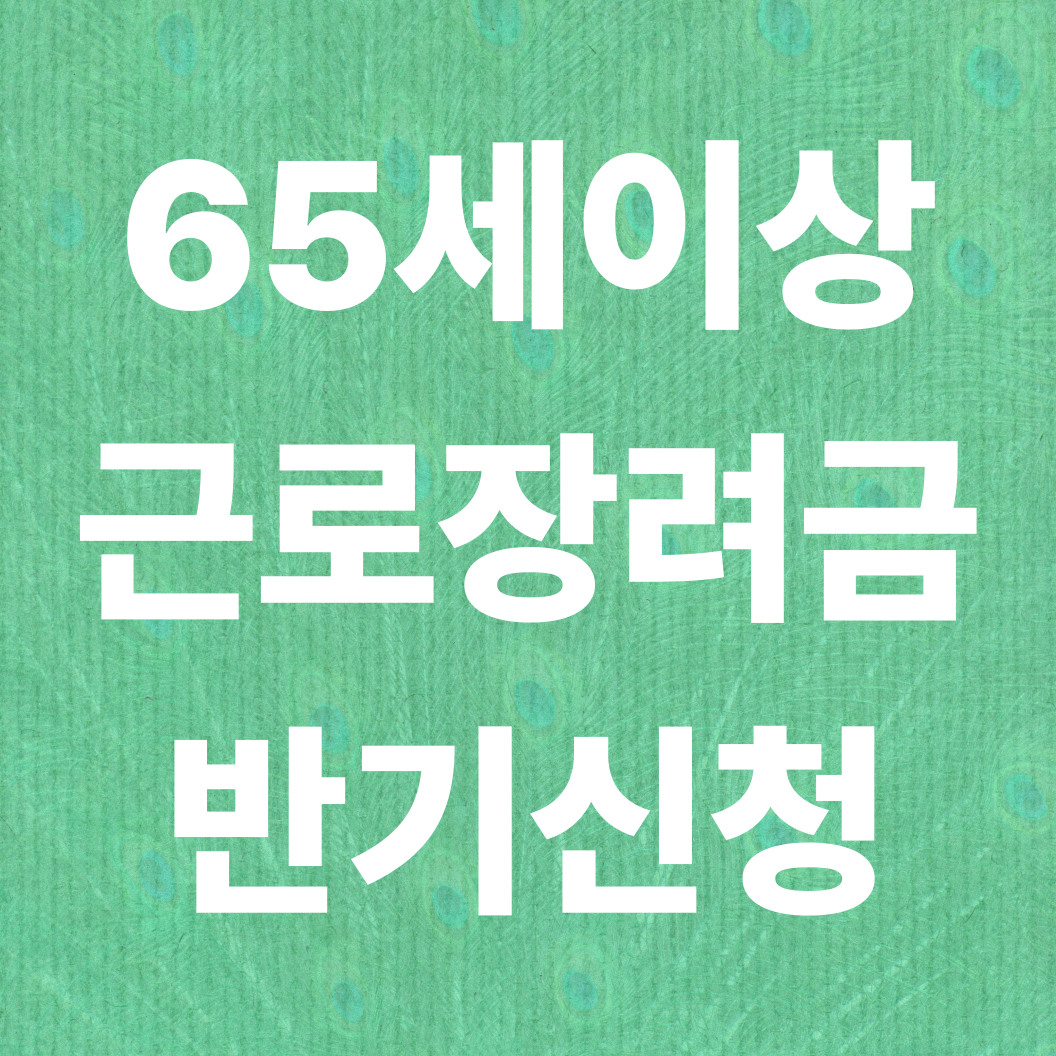 65세 이상 근로장려금 신청 가이드