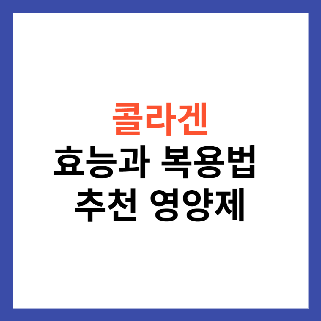 콜라겐의 효능과 복용법