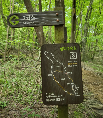 제주도 가볼만한곳 추천 베스트 10 (꼭 가봐야할 곳!)