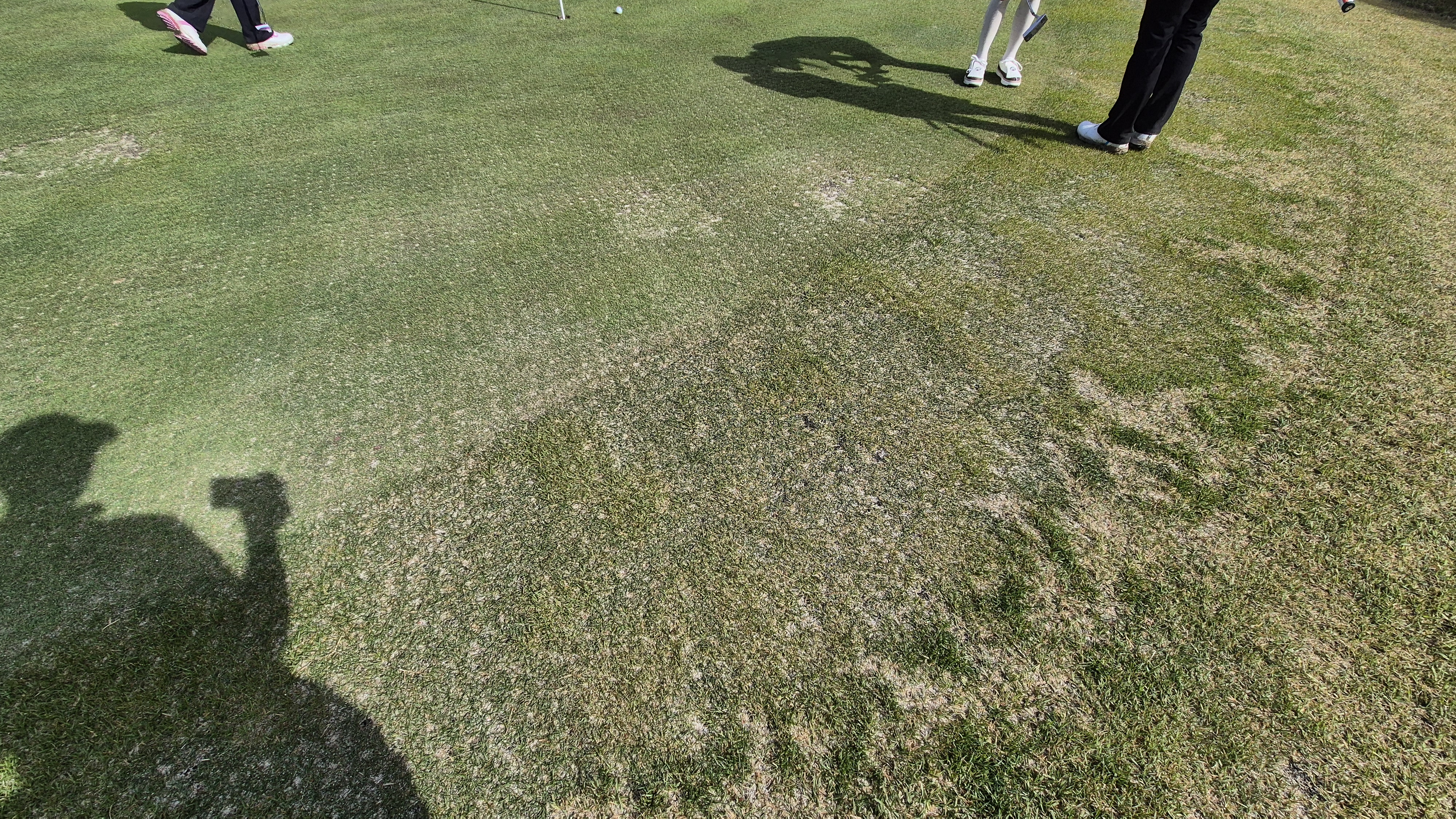 한원cc 라운드후기