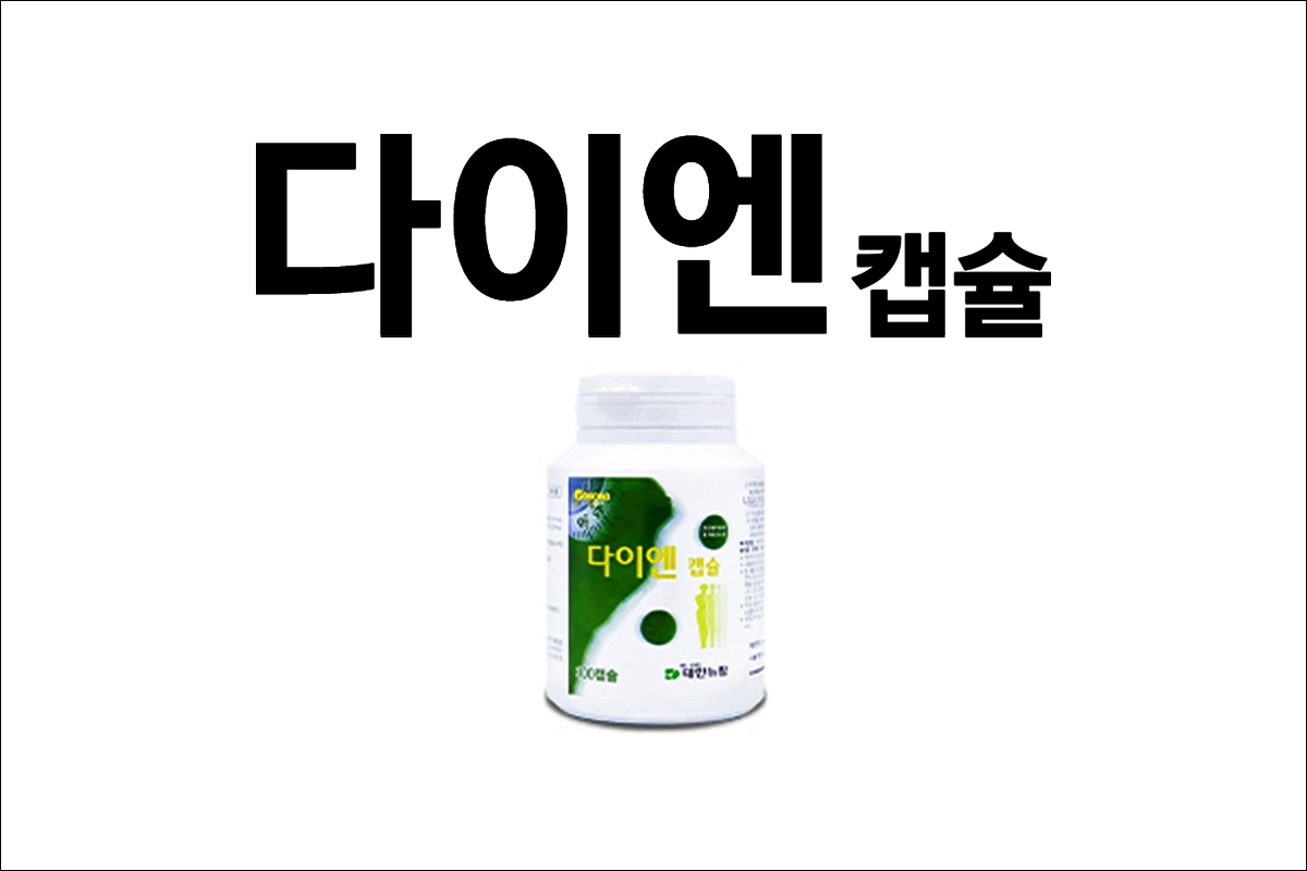 다이엔캡슐 효능 효과 부작용 다이어트약 비만약 생약성분 체중감량 보조제 체지방분해