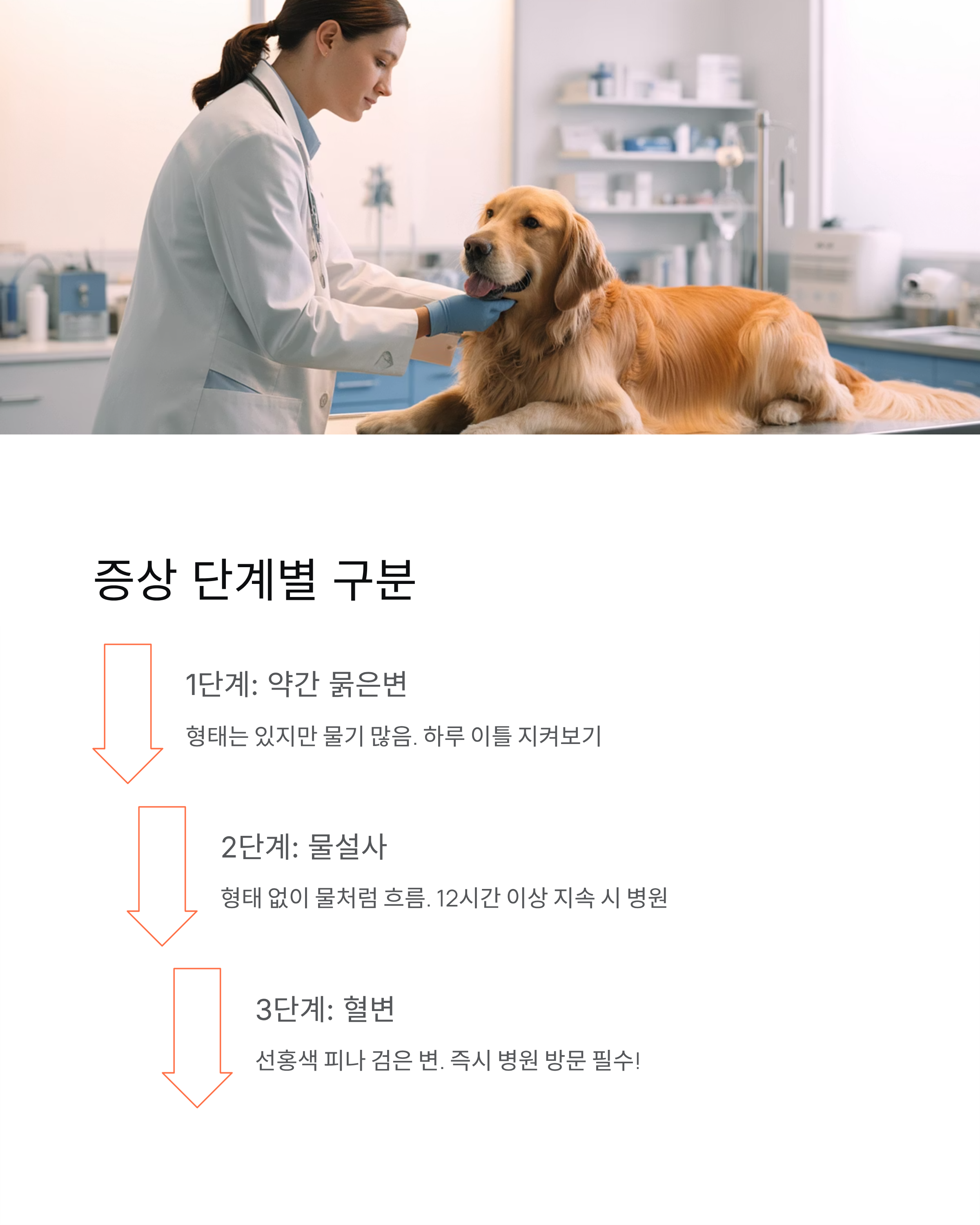 강아지 설사 🐕 원인·증상·대처법 총정리! 언제 병원 가야 할까?