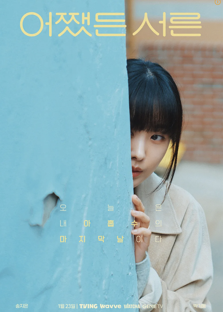 드라마 어쨌든 서른 포스터