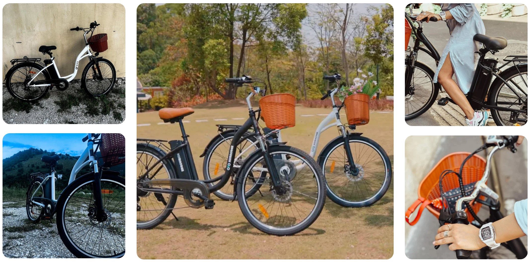 02. DYU Electric Bikes 05