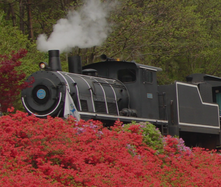 곡성 기차마을 증기기관차