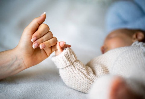 산후조리에 좋은 음식