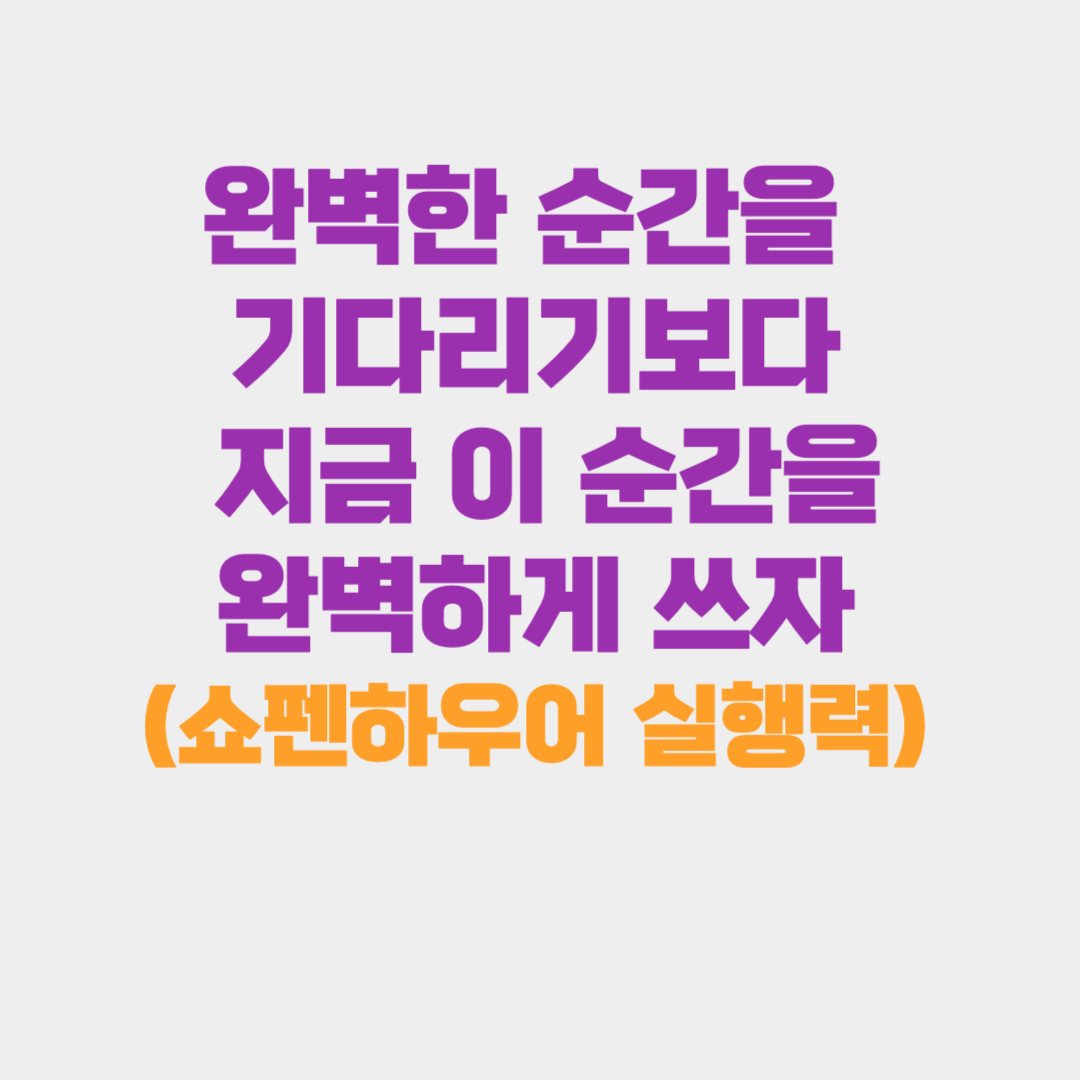완벽한 순간을 기다리기보다 지금 이 순간을 완벽하게 쓰자(쇼펜하우어가 말하는 실행력)