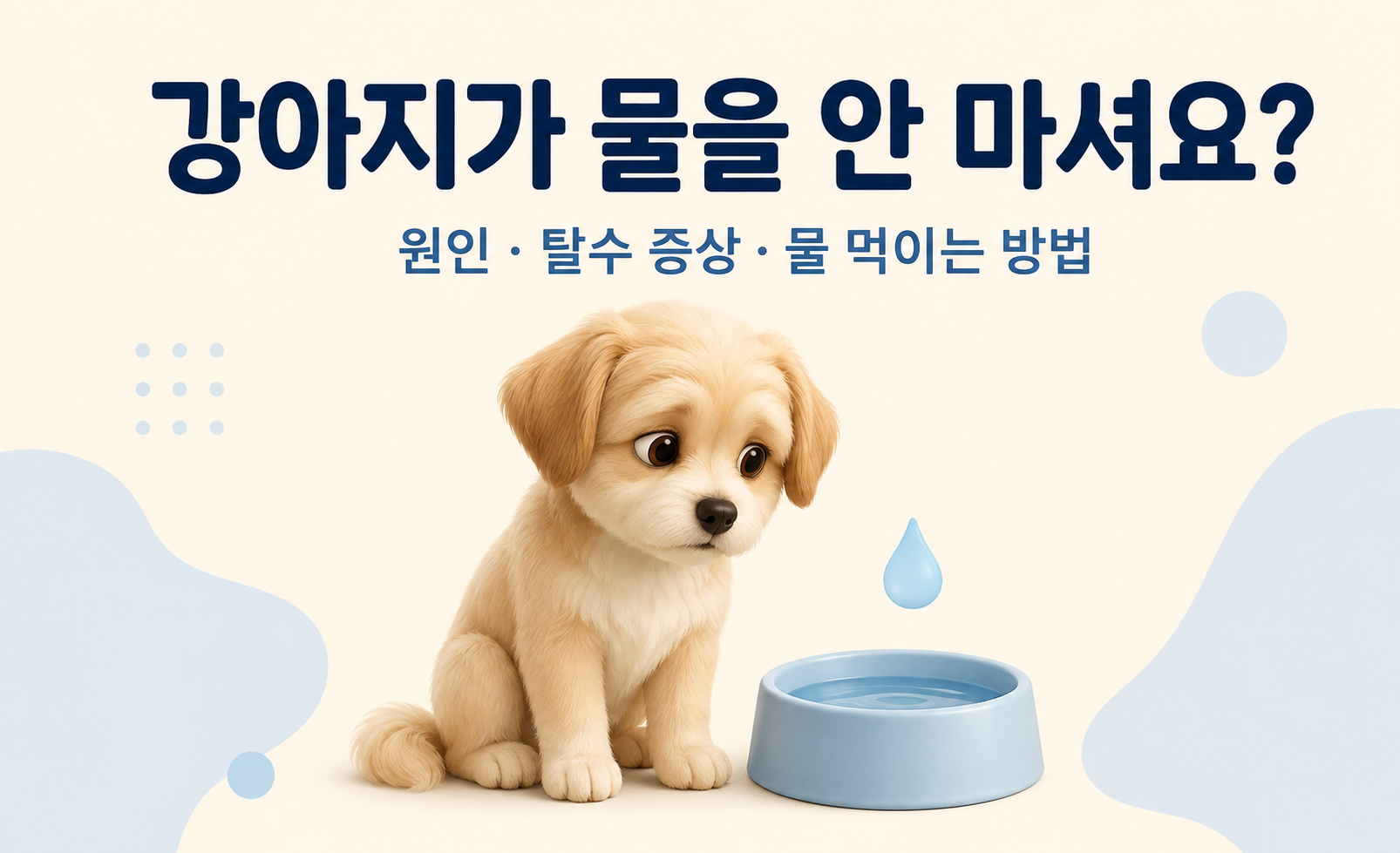 강아지가 물을 안 마시는 원인과 물 먹이는 방법 안내