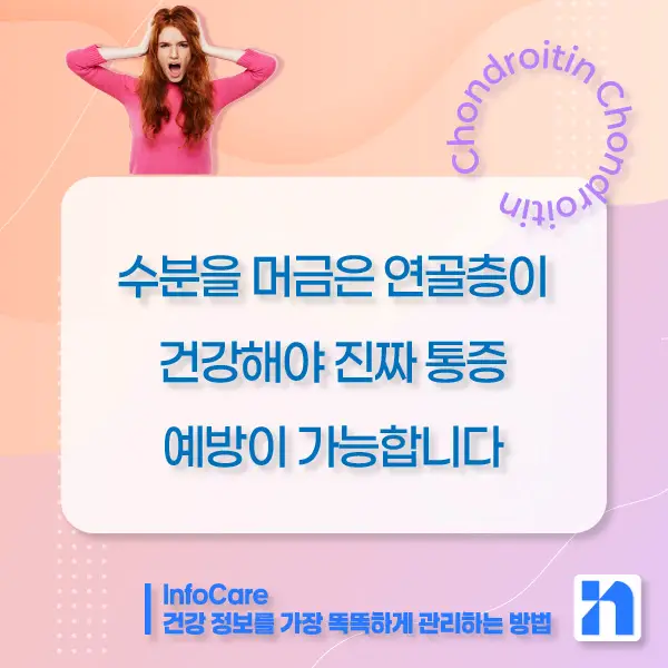 콘드로이친 효능, 복용방법