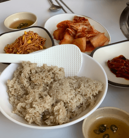 [6시 내고향] 포천 냉면 온반 청수면옥&amp;#44; 능이갈비탕 일능이 약사갈비탕 포천 맛집
