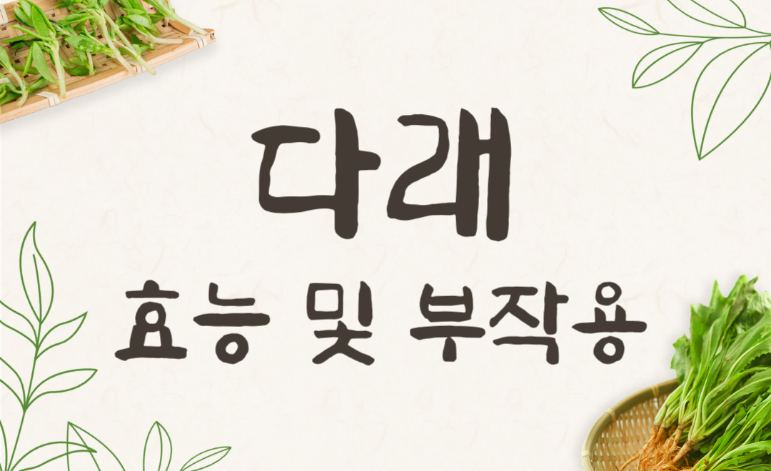 다래 효능과 부작용, 다래순 먹는법까지 완벽 정리