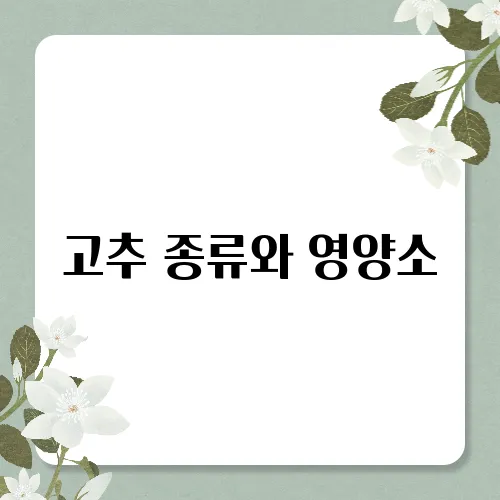 고추 종류와 영양소