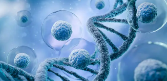 면역-세포-설명하는-사진