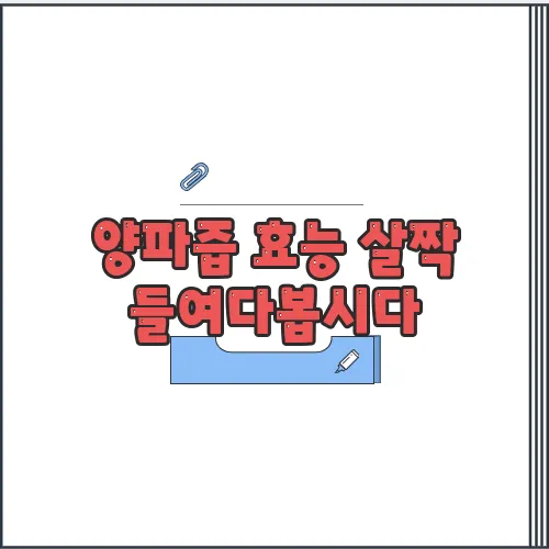 양파즙 효능 살짝 들여다봅시다