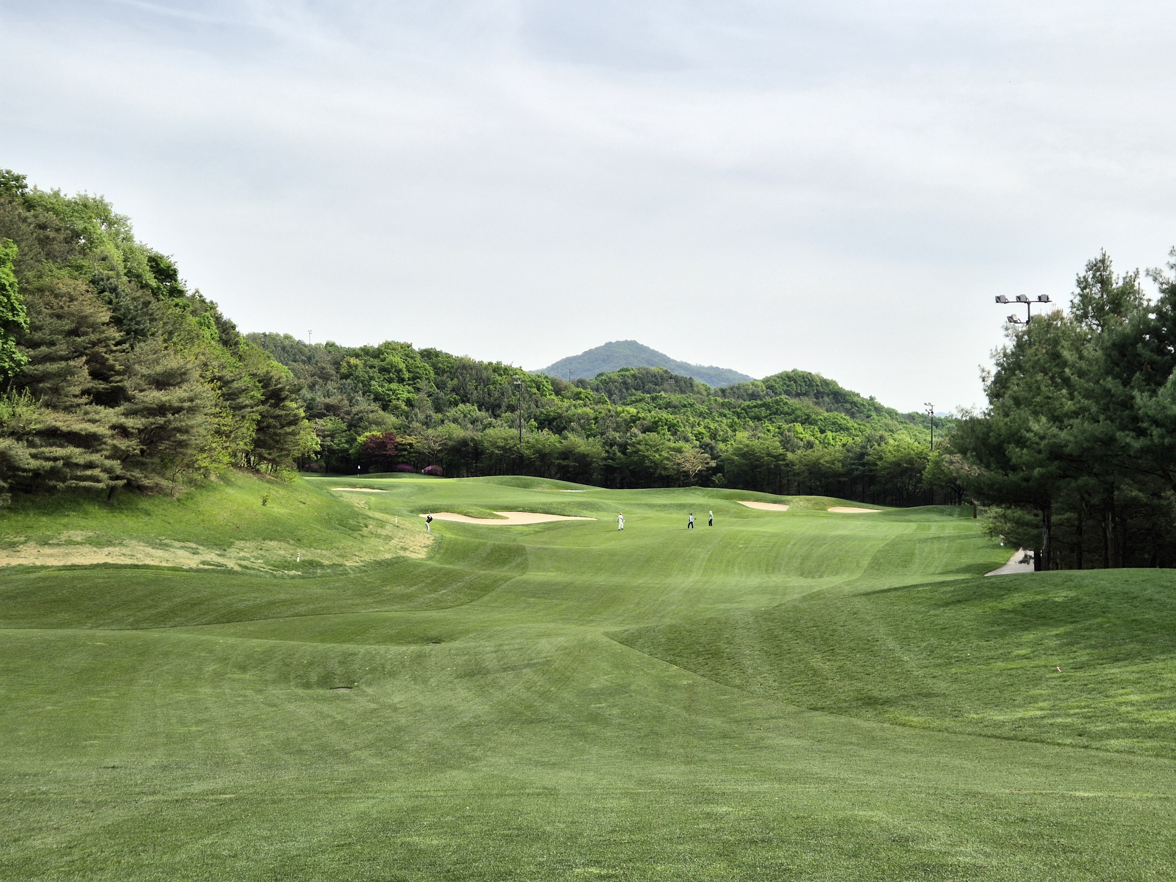 베어크리크cc 크리크코스