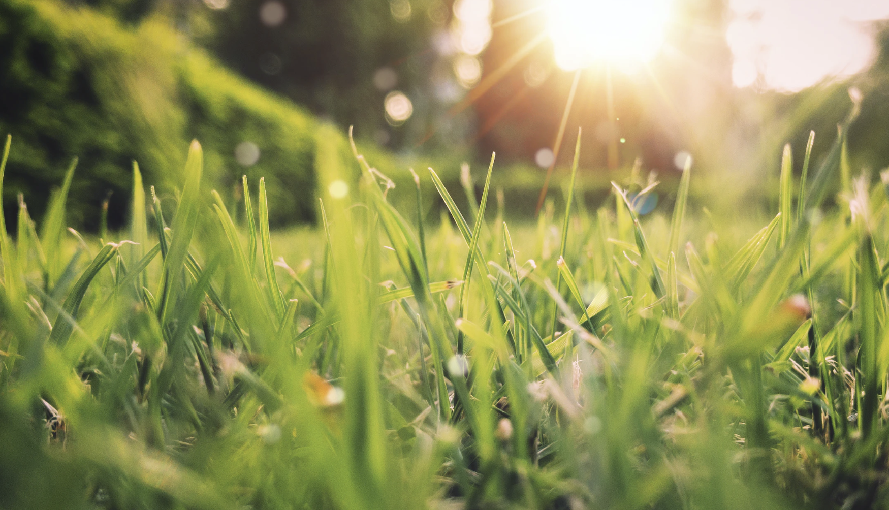 봄철유행하는질병들