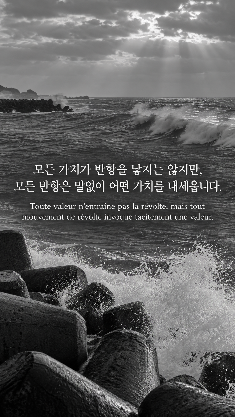반항이 지키려는 가치 &mdash; 거센 파도를 마주한 해안 방파제