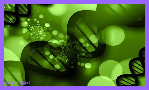 항산화 작용이란 사진