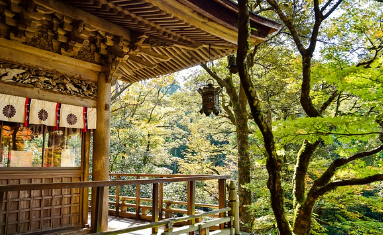 일본-항공권-최저가-사이트