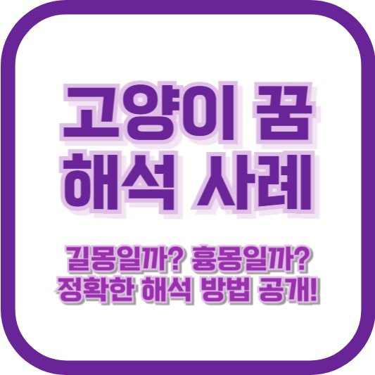 고양이 꿈 해석 사례: 길몽일까? 흉몽일까? 정확한 해석 방법 공개!