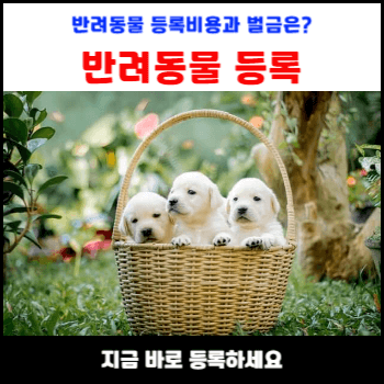 반려동물-등록