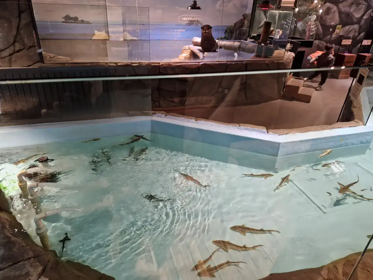 주렁주렁 사진3