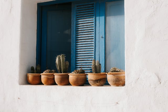 12월2일 돈버는 퀴즈 정답 모음 캐시닥 캐시워크 리브메이트 타임스프레드