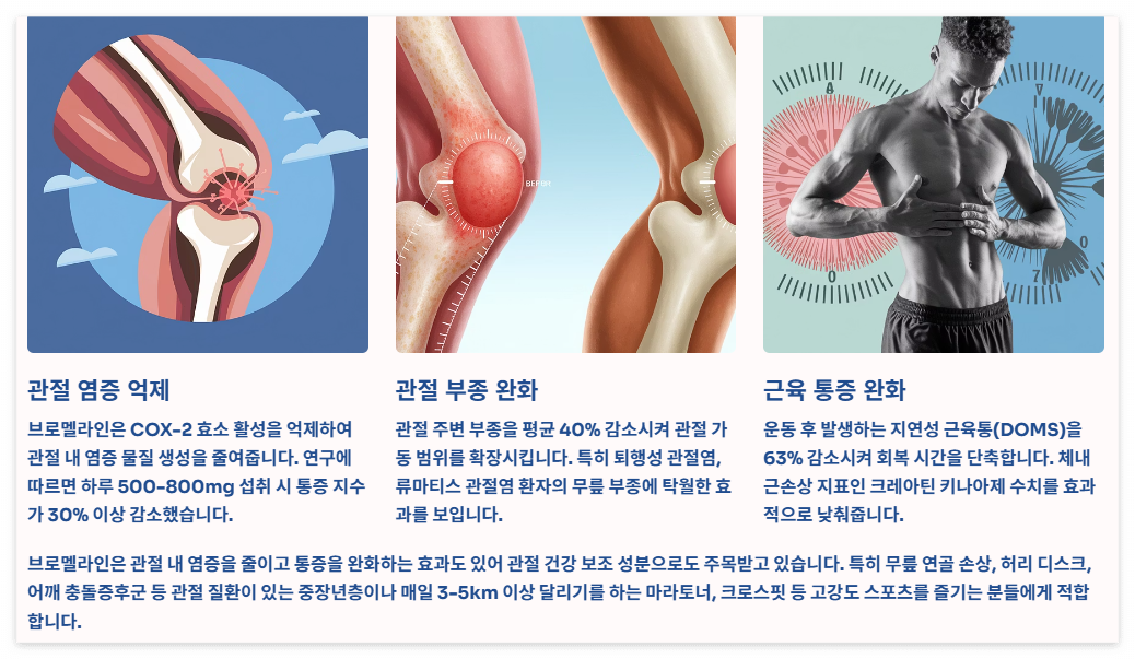 관절건강과 통증완화