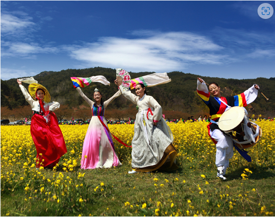삼척 맹방유채꽃 축제 사진4