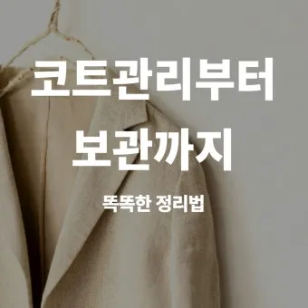 코트 관리 드라이 스팀 옷솔 곰팡이 예방 가이드_16