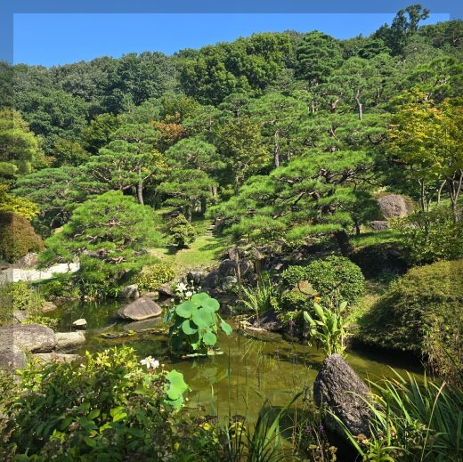 화담숲 야경 촬영 모노레일 입장료 할인 예약 단풍 시기 데이트 코스 시간