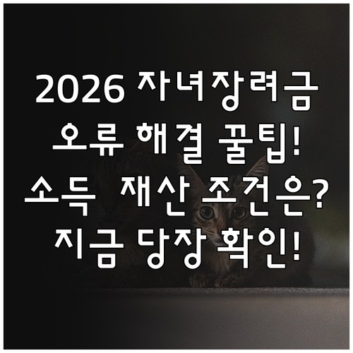 2026 자녀장려금 신청 오류 해결 ..