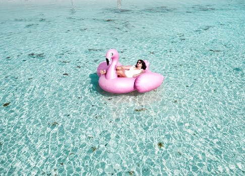 복날 삼계탕을 먹는 이유