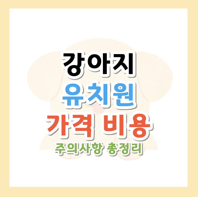 강아지-유치원-가격