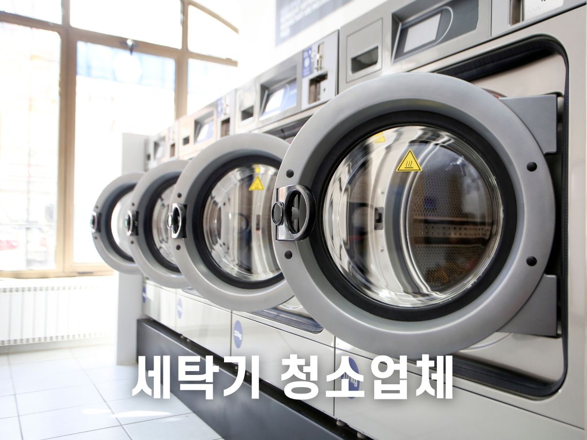세탁기 청소업체 고르는 법