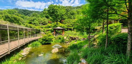 초여름 수목원 여행 추천 BEST 7, 꽃과 숲을 함께 즐기는 여행