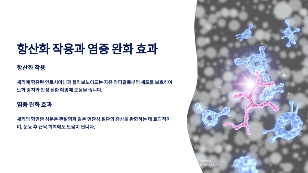 항산화 작용과 염증 완화 효과