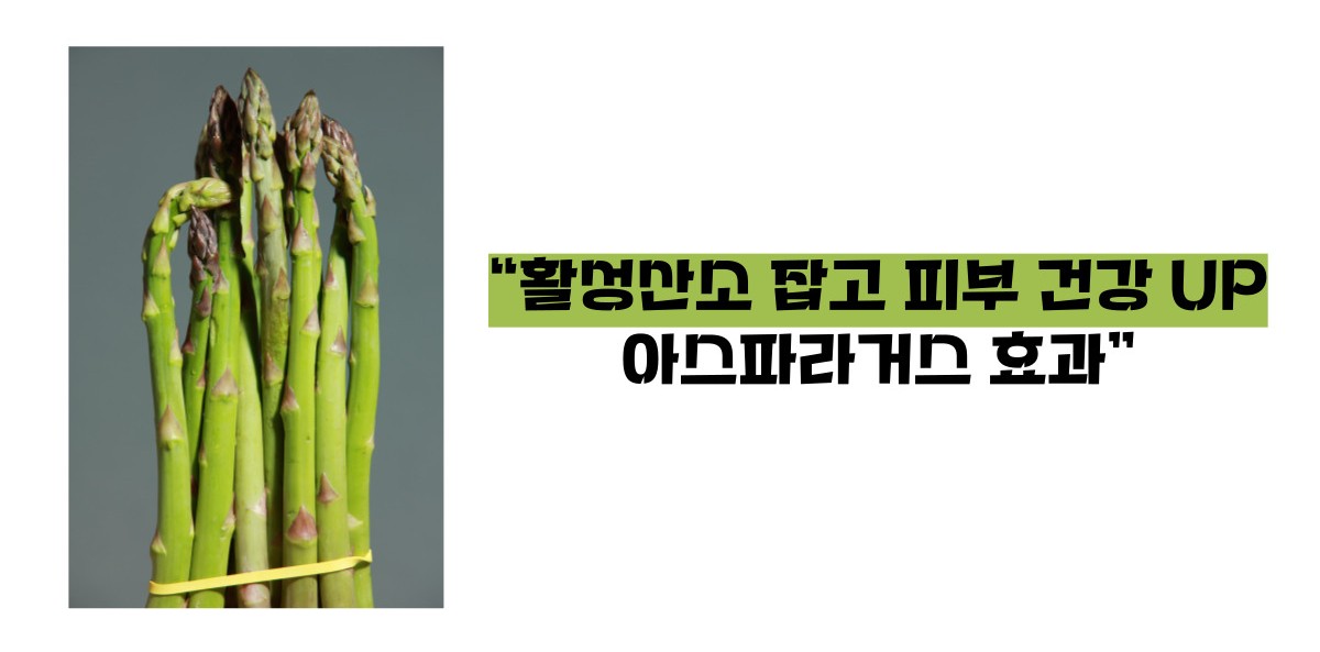 아스파라거스 효능