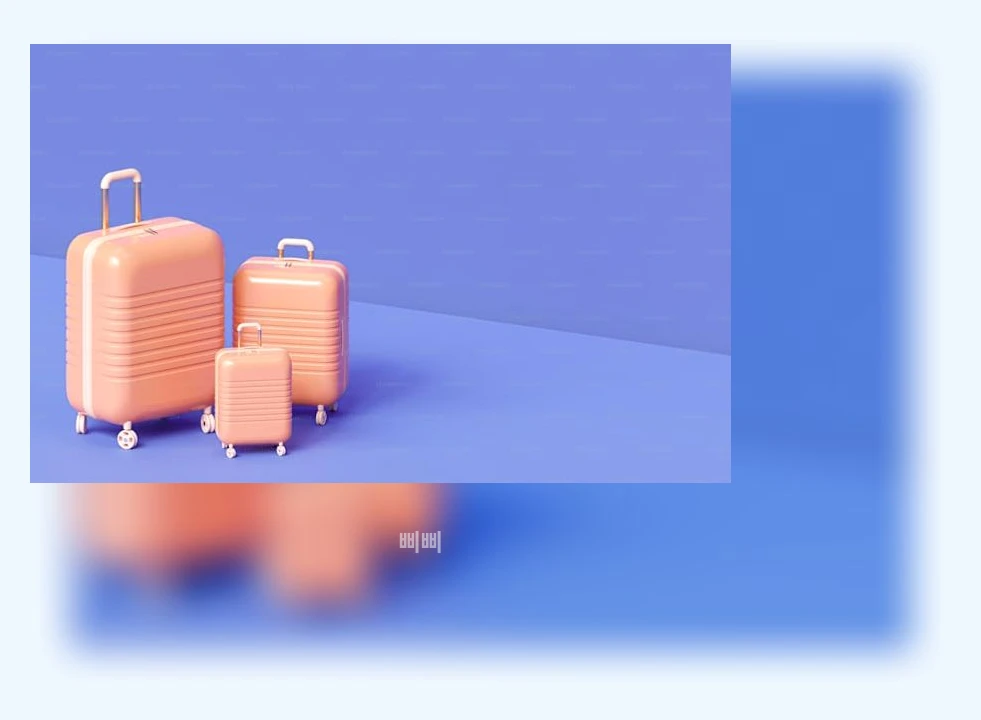 배리어프리 여행_1_subsection