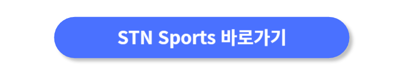 버튼