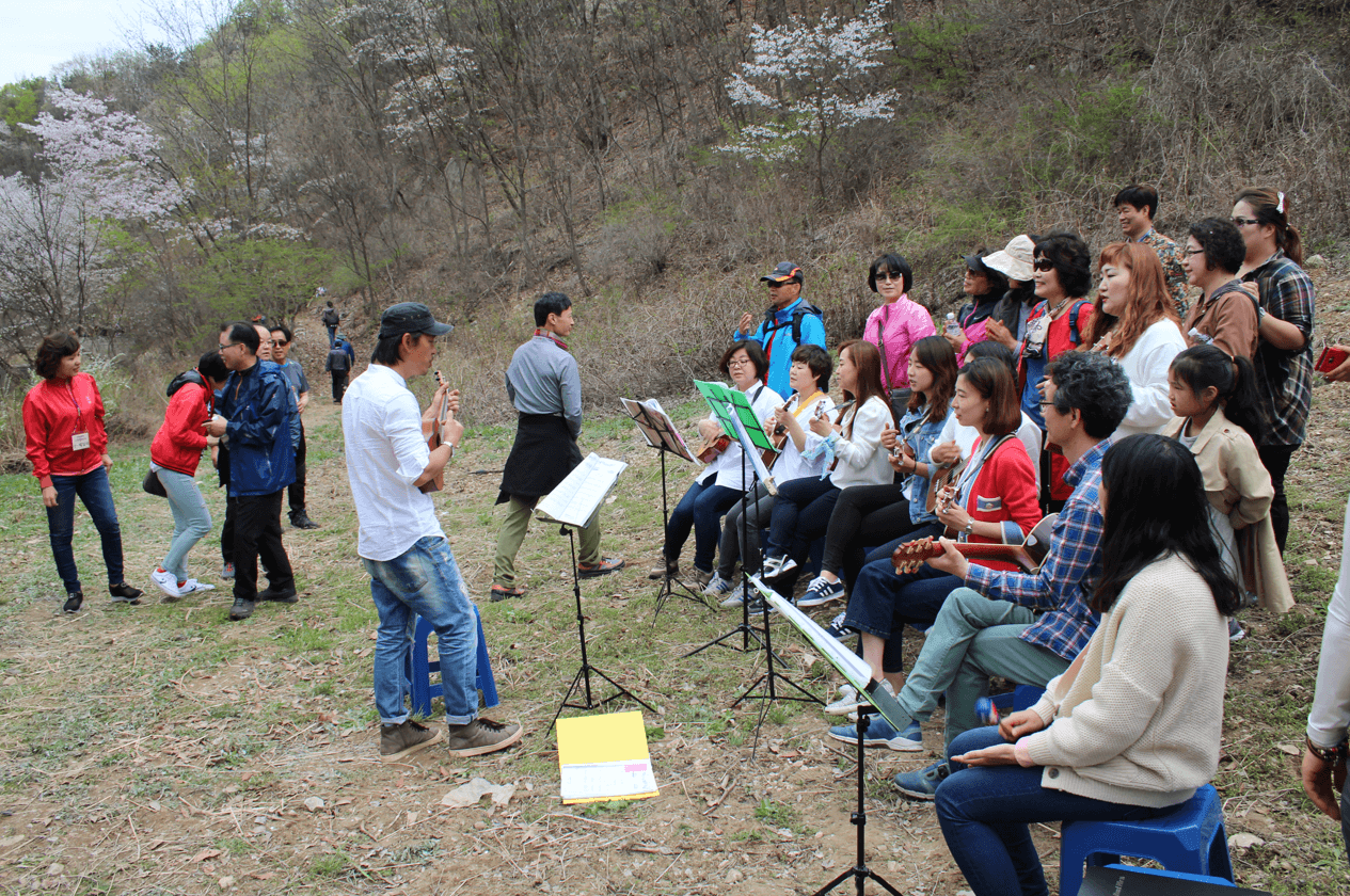 금산 보곡산골 산벚꽃 축제